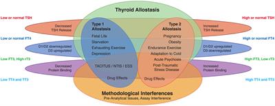 Thyroid Allostasis–Adaptive Responses of Thyrotropic Feedback Control to Conditions of Strain, Stress, and Developmental Programming